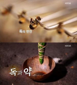 ‘KBS스페셜’ 독과 약 편, ‘보톡스=보툴리눔독소’와 ‘펩타이드’ 봉독 효능은?