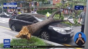 [13호 태풍 링링] 실시간 현재 위치 “멀어지지만 강풍 여전” 황해도 서쪽 약 20km 상륙