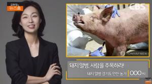 돼지열병 감염 경로는 사람? “100% 치사율, 퍼지면 못 걷잡아”…‘김현정의 뉴스쇼’ 인터뷰