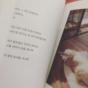 [이슈] 구혜선, 이혼 소송 중에도 멈출 수 없는 작품 홍보…안재현-오연서는 지금?