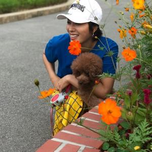 &apos;얼마예요&apos; 손남목♥최영완, 여유로운 일상 눈길 "내 삶의 활력소 둘"