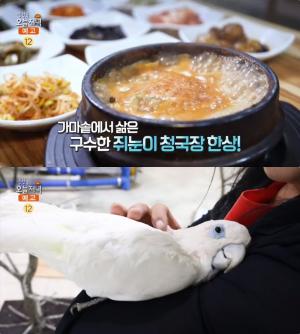 ‘생방송오늘저녁’ 안성 쥐눈이청국장 맛집 위치는?…갈비탕·도가니탕 식당 ‘앵무새 엄마’ 이윤복 씨 “세상에 이런 일이!”