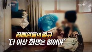 ‘KBS 제보자들’ “명절은 악(惡)이다” 집배원들의 절규… ‘특별소통기간’이 뭐길래