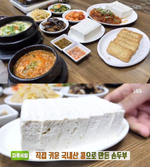 ‘생방송투데이-자족식당’ 분당 손두부 맛집 위치는? 순두부-청국장-비지백반 “직접 키운 국내산 콩으로 만들어!”