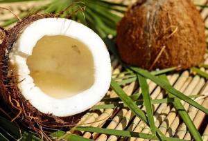 저탄고지에 도움주는 코코넛오일…식이요법의 핵심은?