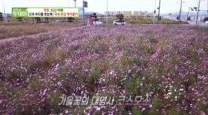 [★픽] ‘생방송 투데이’ 목포 고하도-평화 광장 소개…‘국내 최장 길이 케이블카까지’