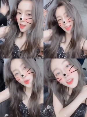 레드벨벳(Red Velvet) 아이린, 인스타서 세상 제일 예쁜 고양이린의 &apos;김밥&apos; 공개