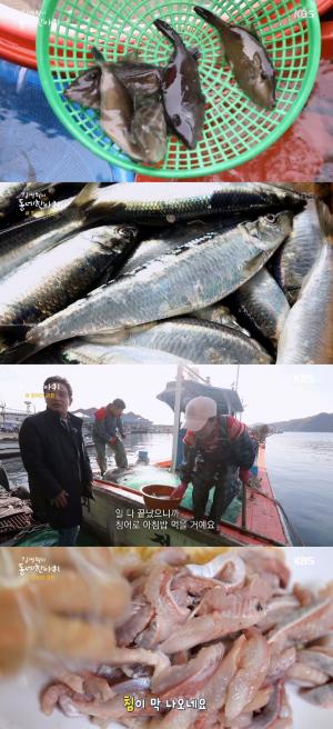 ‘김영철의 동네 한 바퀴’ 삼척, 임원항 명물 청어회무침 소개…‘재방송은?’