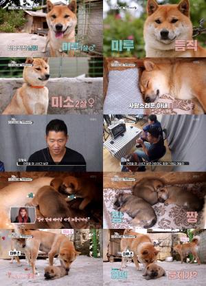 ‘개는 훌륭하다’ 강형욱, 강릉 시바견 솔루션…이경규 “나는 이형욱이다”