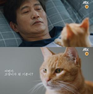 ‘루왁인간’ 무슨 뜻인가 보니…JTBC 드라마 페스타 단막극으로 화제 ’몇부작?’
