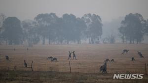 호주, 산불 피해 큰 NSW주 3개 지역 관광객 대피령 내려…원인은 무엇?