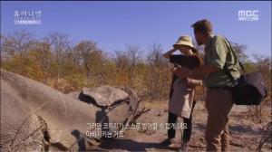 ‘휴머니멀’ 박신혜, 잔인하게 사냥당한 코끼리에 망연자실