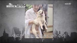 ‘개는 훌륭하다’ 홍수아, 안락사 앞둔 반려견 구조·치료 나선다 (2)
