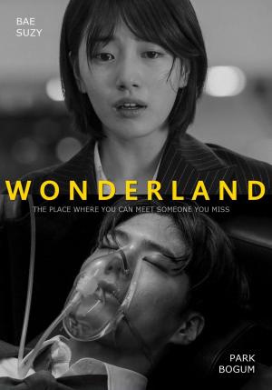 ‘원더랜드’ 박보검-배수지, 설렘 자극하는 가상 포스터 눈길…기대감 UP 