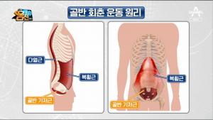 [종합] ‘나는 몸신이다’ 배뇨 장애 대비 골반 회춘 운동 방법 소개