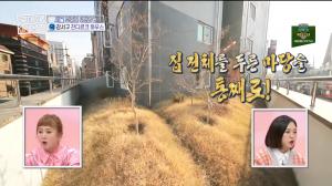 [종합] &apos;구해줘!홈즈&apos; 서울에서 9000만원 전세임대주택 찾기...&apos;마당&apos;있는 집부터 &apos;쓰리룸&apos; 하우스까지
