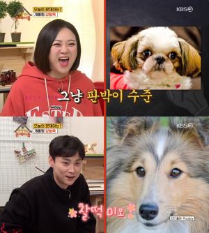 ‘옥탑방의 문제아들’ 개통령 강형욱, “김숙은 시츄, 민경훈은 셸티, 김용만은 퍼그” 개상 진단!