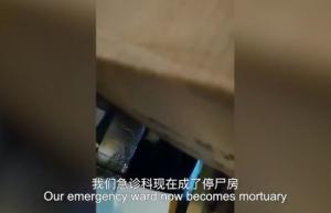 우한 여의사의 폭로 "중국 정부 사망자수 축소…응급실 방치된 시신 부패"