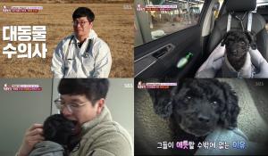 ‘TV 동물농장’ 대동물 수의사 권환흥, 분리불안 걱정인 강아지 토미를 데리고 다니지만…동물 전문가는 수의사가 분리불안? (3)