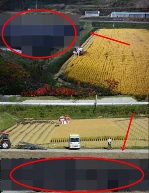 일본 후쿠시마, 원전사고 이후 ‘쌀 농지’ 바로 옆 방사능 잔해물 논란…가장 많은 소비 지역까지 ‘충격’