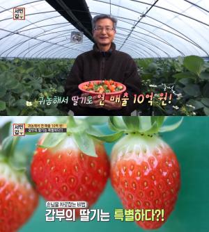 ‘서민갑부’ 서산 딸기농장 위치는? 선권수 대표 “귀농해 연 매출 10억!” 딸기와인 ‘인기’