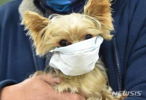 [코로나 연구] 美 CDC, 코로나19 확진자에 반려동물과 접촉 자제 권고