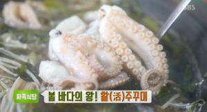 ‘생방송 투데이-자족식당’ 봄 바다의 왕! 활(活)주꾸미…주꾸미볶음, 주꾸미샤부샤부 맛집