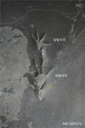 진주혁신도시서 국내 첫 백악기 원시악어 발자국 화석 발견