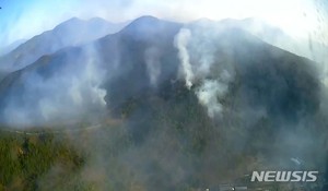 울산 울주군 산불 잡았다, 200여㏊ 산림피해(종합)