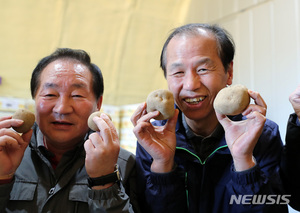 &apos;완판남&apos; 최문순, 14일 만에 감자 4000t 팔아