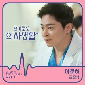 조정석, 직접 부른 ‘슬의’ OST ‘아로하’ 음원차트 1위…꿀 보이스에 폭발적 반응