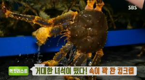 ‘생방송 투데이-먹킷리스트’ 속이 꽉 찬 킹크랩…킹크랩 찜+킹크랩 샤부샤부 맛집