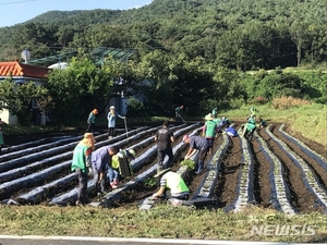 충남, 코로나19로 농업인력 수급 비상···돌파구 모색