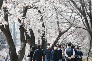 "벚꽃놀이, 아쉽지만 내년에"…주말 여의도한강공원 주차장 폐쇄
