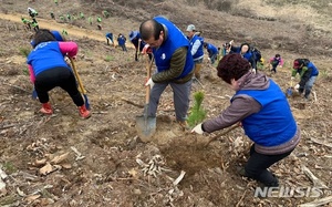 충북 지자체 대부분 식목일 행사 취소, 보은군은 &apos;축소&apos;