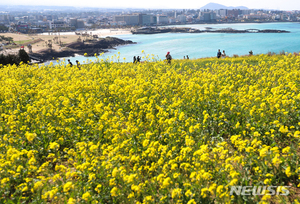 제주, 절기상 청명…낮 최고 19도 &apos;포근&apos;