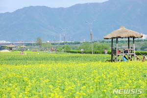 구리시, 유채꽃축제 취소…상춘객 못 오게 주차장도 폐쇄