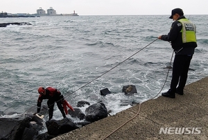 제주 애월읍 해상서 멸종위기 상괭이 사체 발견