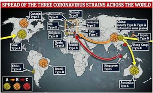 코로나19, 3가지로 변형돼 전 세계 확산…한국은 주로 B형