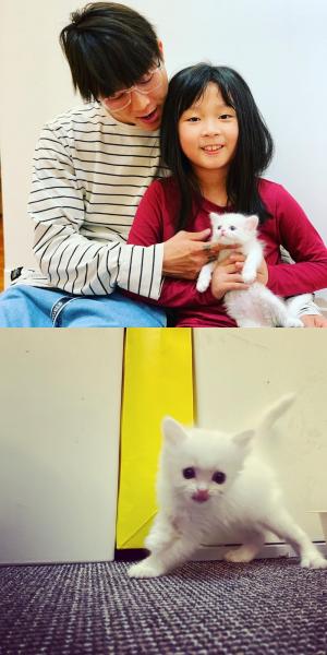 팝핀현준, 페르시안 고양이 집사 됐다 "우리집 새 가족을 소개합니다"