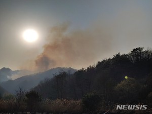 철원 국유림 산불 15시간 만에 주불 잡아(종합)