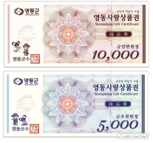 영동군, 코로나19 극복 민생안정·경제부양 시책 추진