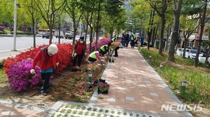 &apos;새봄맞이&apos; 경기북부 지자체 꽃길 조성 한창