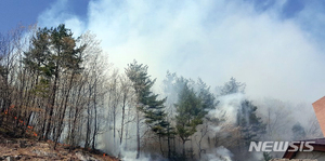 소방청, 화재위험경보 경계단계 발령…산불 대비