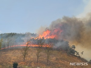 문화재청 "병산서원, 안동 산불 피해 없어…대비 중"