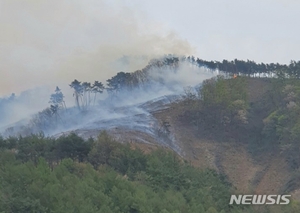 단양 산불로 임야 0.5㏊ 소실…잔불 정리