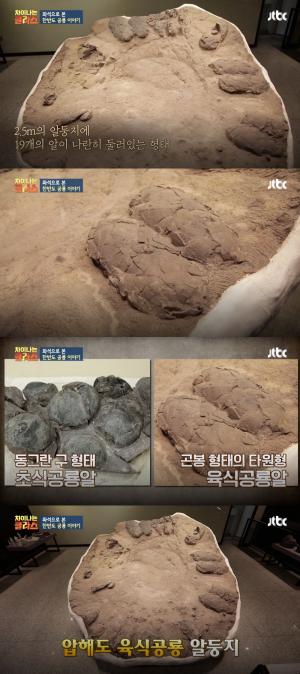 &apos;차이나는 클라스&apos; 허민 교수 "목포 압해도서 대형 육식공룡알 발견돼"