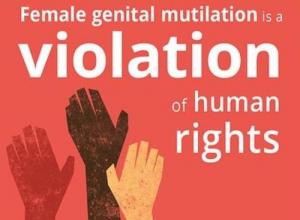 아프리카 수단 여성할례(FGM) 불법화…3년형 처벌