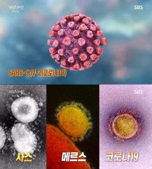 [종합] ‘SBS스페셜’ 질병X ‘코로나19’ vs 백신X 개발 현황 “최소한 임상 목표”