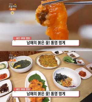 ‘생방송오늘저녁’ 통영 멍게요리 맛집 위치는? 멍게회·비빔밥·미역국 “남해의 붉은 꽃!”